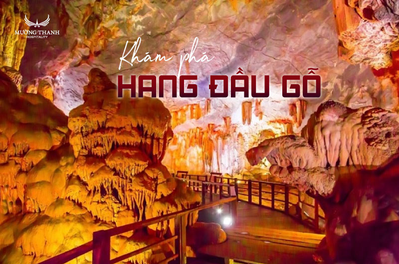 images/news/2025/07/original/kham-pha-hang-dau-go_1752115645.jpg